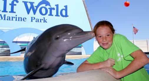 Bottlenose Dolphin Meet N Greet at Gulf World Marine Park