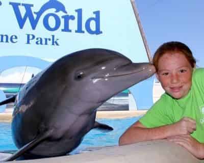 Bottlenose Dolphin Meet N Greet at Gulf World Marine Park