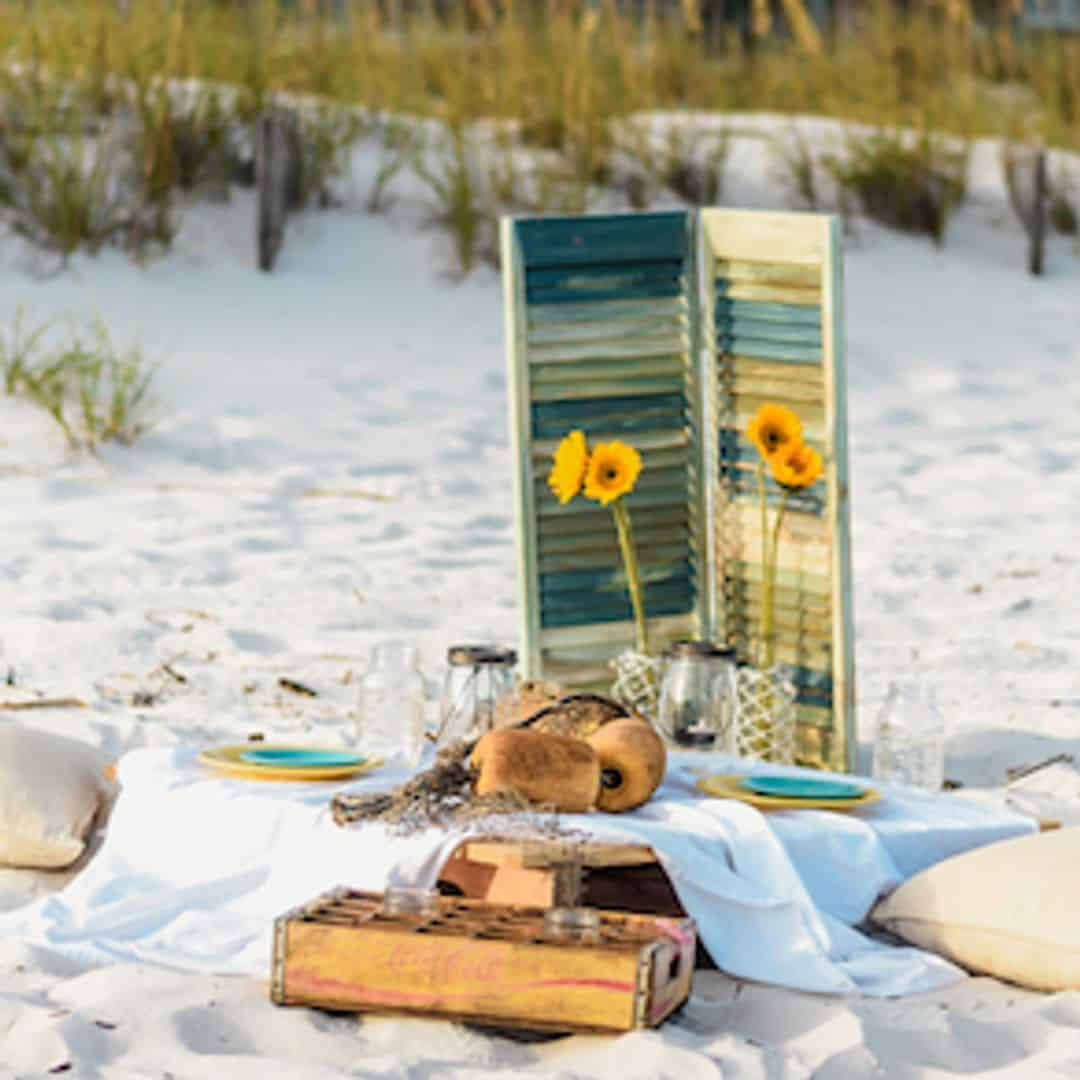 Surfside Picnic from Splendid Setups - TripShock 