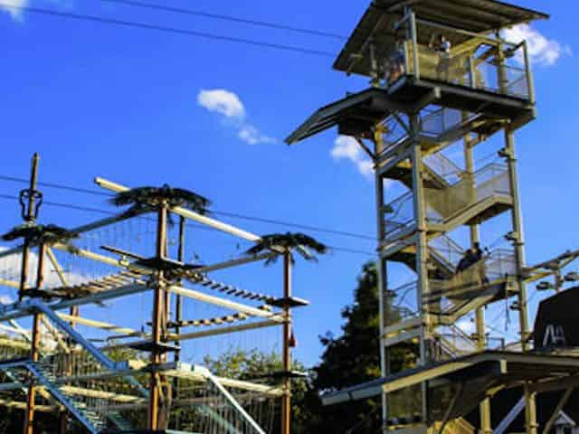 196 Reviews Of Soar Explore Ropes Course Myrtle Beach Tripshock Soar Explore Ropes Course Myrtle Beach
