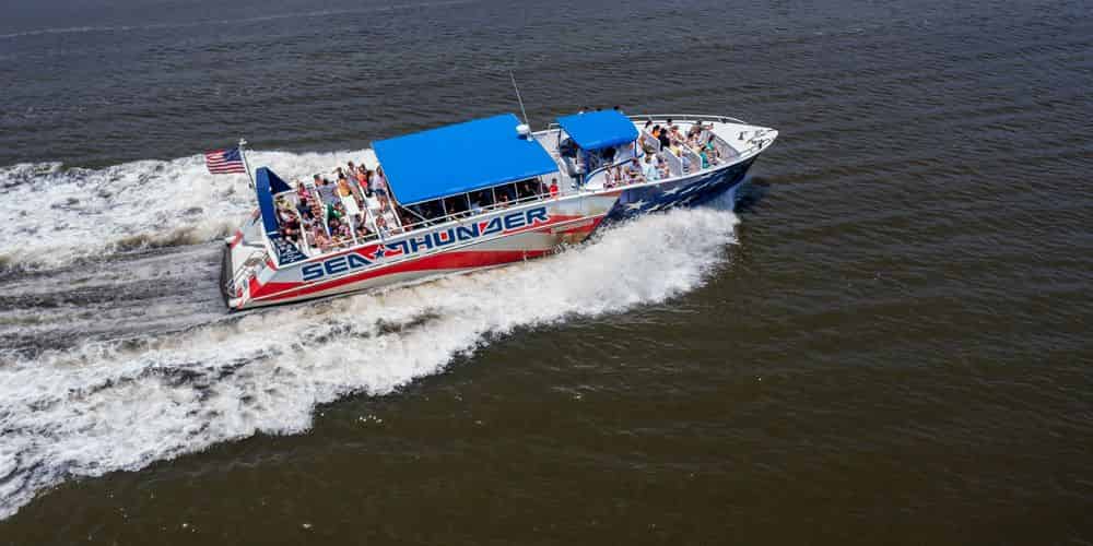 Sea Thunder Dolphin Cruise