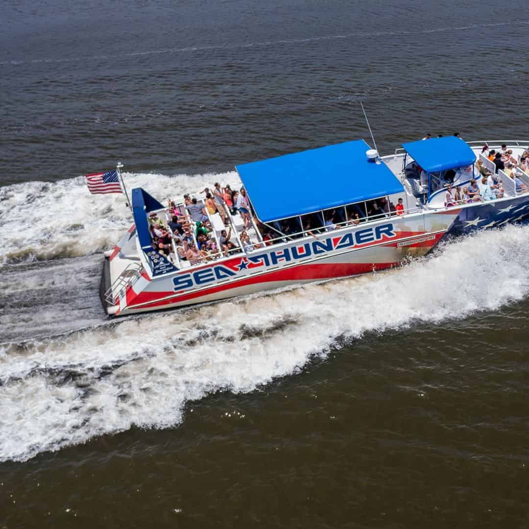 dolphin tours at myrtle beach