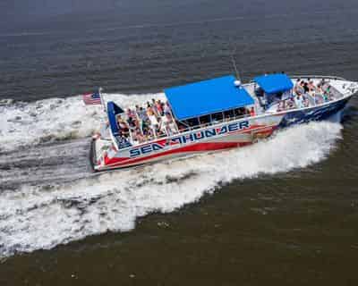 Sea Thunder Dolphin Cruise Myrtle Beach