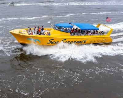 Sea Screamer Dolphin Cruise Myrtle Beach