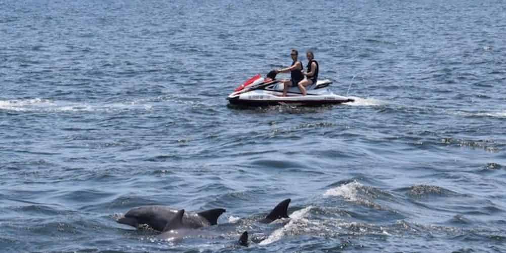 Myrtle Beach Watersports