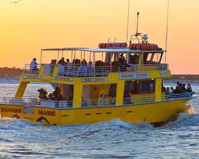 Dolphin Watch and Destin History Cruise