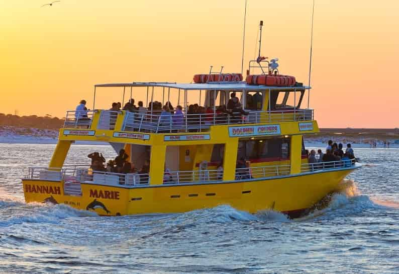 Dolphin Cruises | Visit Pensacola