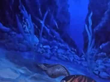Underwater Escape Room at Hint Hunters