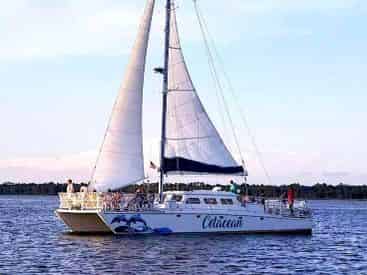 sailing orange tour beach tripshock dolphin