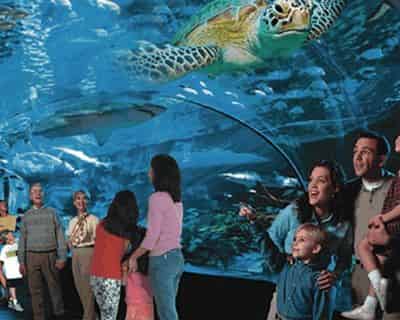 Ripley's Aquarium of Myrtle Beach