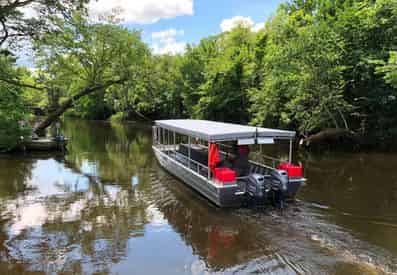 VIP Swamp Experience With Optional Transportation