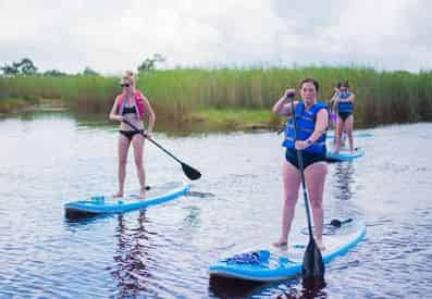 Family Paddle and Kayak Tour