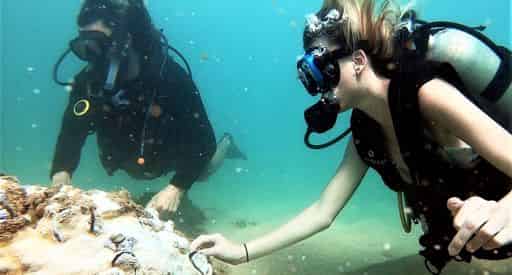Beginner Scuba Diving Tour