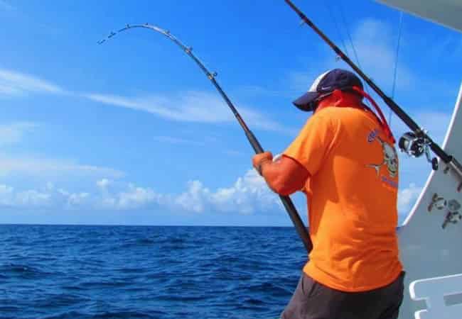All-Day-Gulfstream-Deep-Sea-Fishing