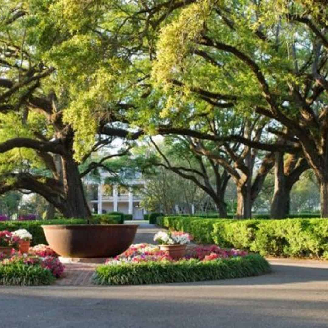 Oak Alley Plantation Tour with Transportation from New Orleans Hotels