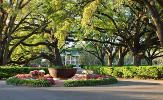 N-awlins-Luxury-Oak-Alley-Plantation-Tour-With-Transportation