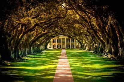 Oak Alley or Laura Plantation Tour with Transportation from New Orleans Hotels