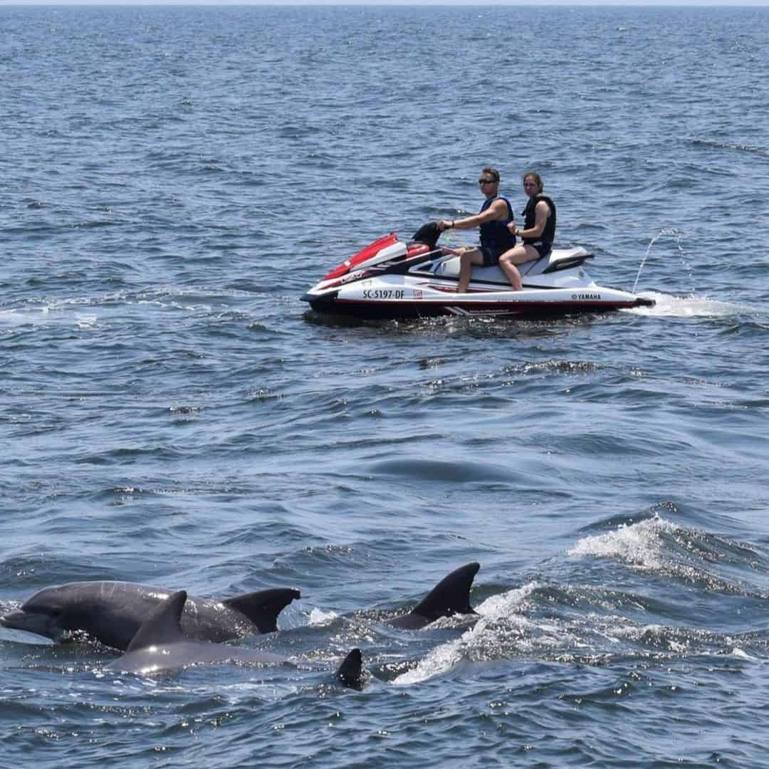 jet ski dolphin tour myrtle beach