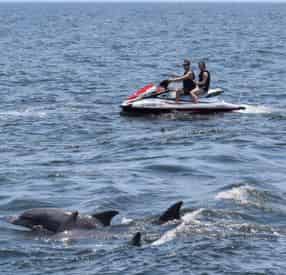 2 Hour North Myrtle Beach Jet Ski Eco Tour & Dolphin Encounter