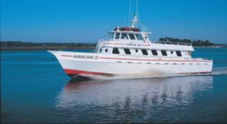 Dolphin Adventure Cruise Aboard The Hurricane II - TripShock!