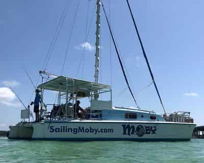 Sail and Play Day Cruise with Sailing Moby