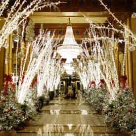 Jingling Through the Crescent New Orleans' Holiday Tour on Christmas Day