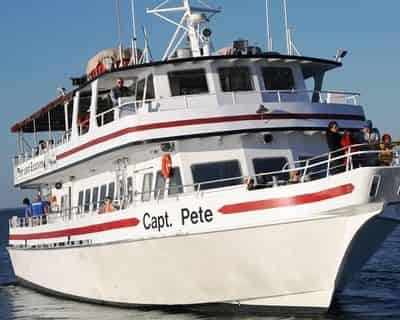 Dolphin Watch & Sightseeing Cruise