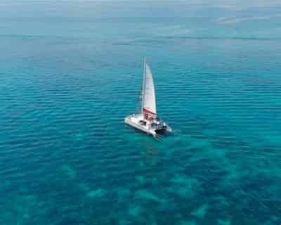 Sunset Snorkel Sail with Open Bar and Live Music by Sunset Watersports