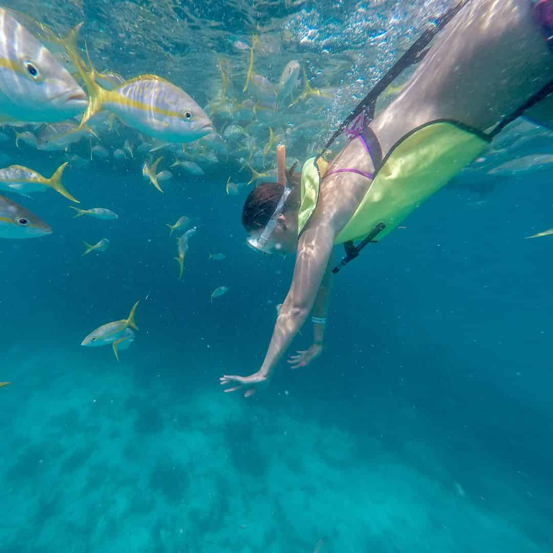 Key West Snorkeling Tours