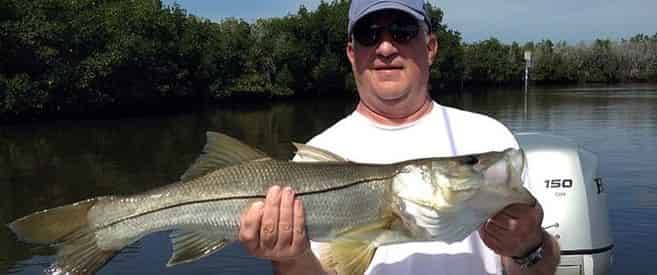 4-Hr Inshore & Flats Fishing Charter with Light Tackle Adventures