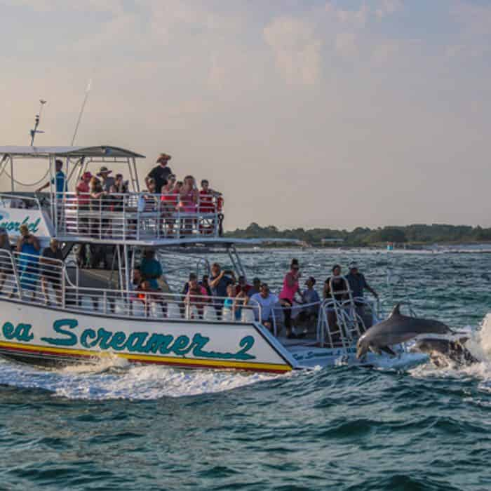 Sunset Dolphin Cruise Aboard The Sea Screamer 2 - TripShock!