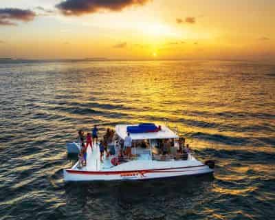 Combo Dolphin and Snorkel Cruise by Sunset Watersports