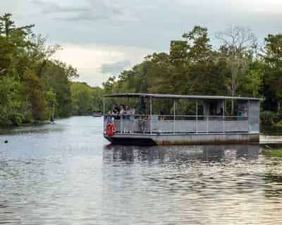 Jean Lafitte Swamp Tour with Optional Transportation