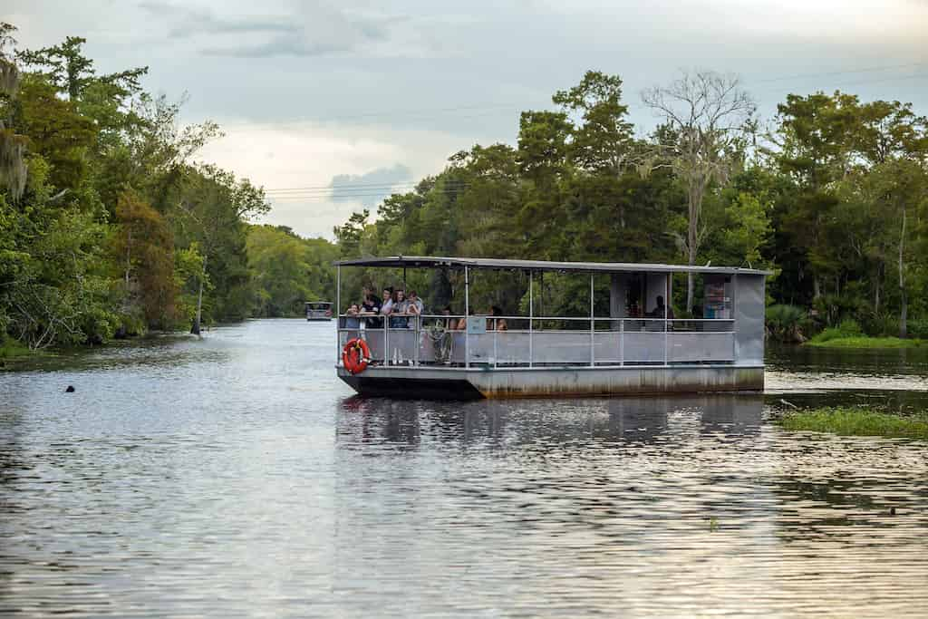 Jean-Lafitte-Swamp-and-Bayou-Tour-with-Optional-Transportation