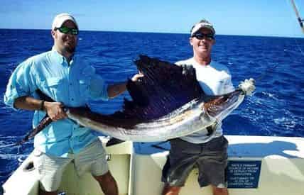 Private Charter Fishing by Captain Conch Charters