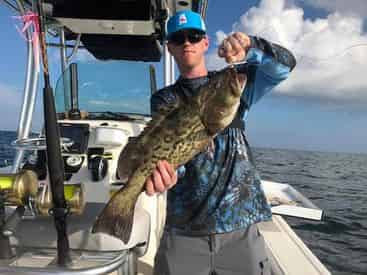 Private Offshore Fishing Charters by Blue Water Charters