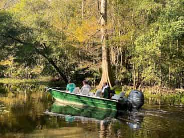 Small Boat Tour of Honey Island Swamp