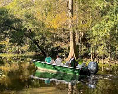 Small Boat Tour of Honey Island Swamp by Beyond the Bayou Tours