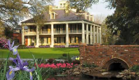 Houmas House & San Francisco Plantation Mansion Tour with Lunch & Transportation from New Orleans