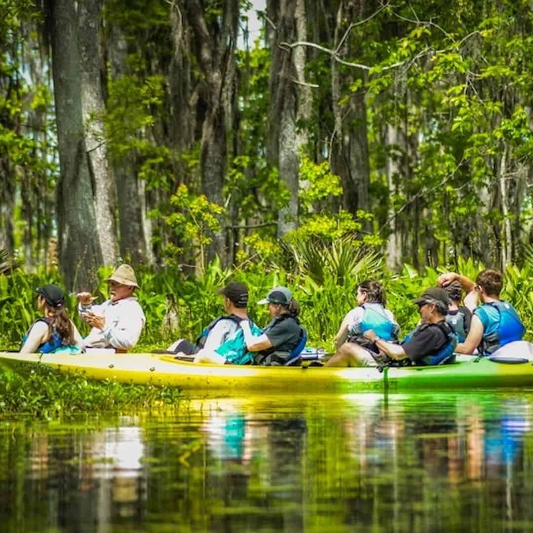 kayak swamp tour louisiana