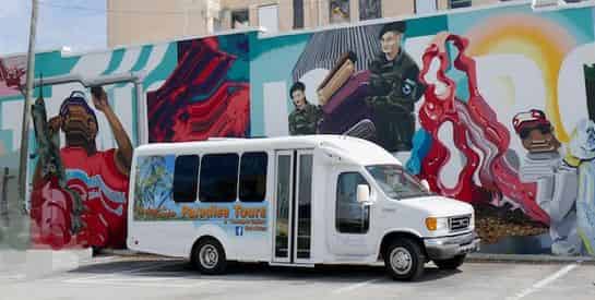 Mural Tour of St. Petersburg by Paradise Tours