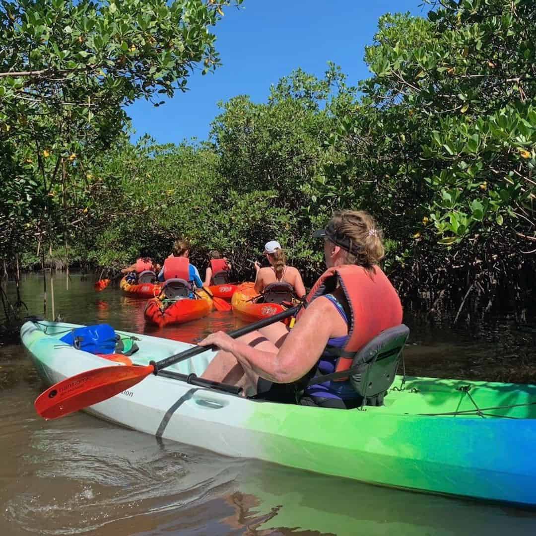 Clearwater SUP Paddleboard & Kayak Tours TripShock!