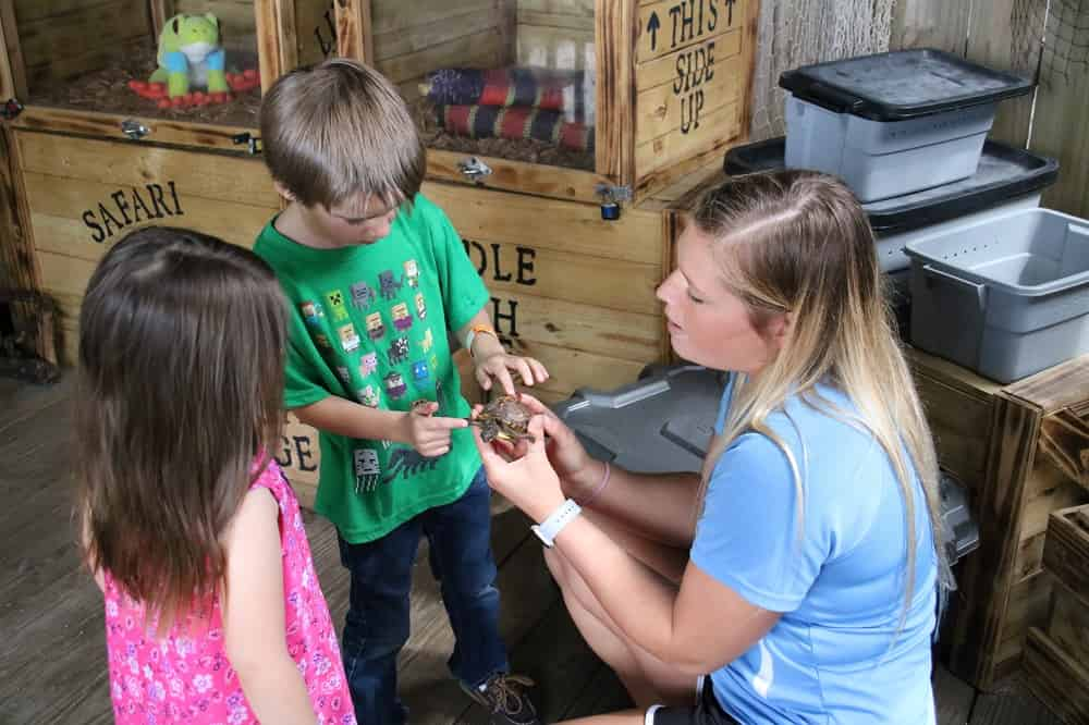 Kids-Reptile-Safari-at-Gulfarium-Marine-Adventure-Park