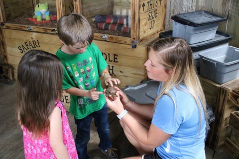 Kids Reptile Safari at Gulfarium Marine Adventure Park