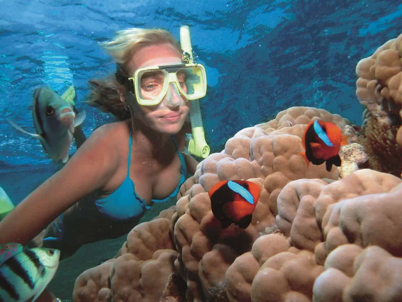 Miami-To-Key-West-Day-Trip-and-Snorkel-Combo-with-Miami-Tour-Company