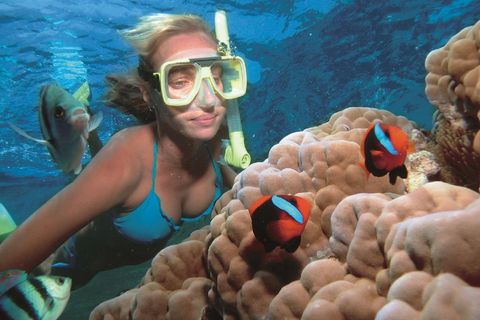 Miami to Key West Day Trip & Snorkel Combo