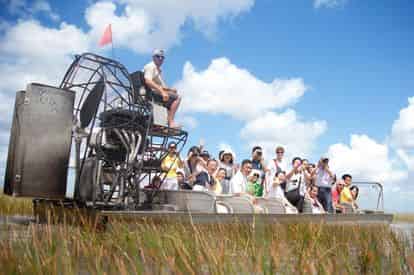 Everglades Morning Tour & Wildlife Show with Transportation