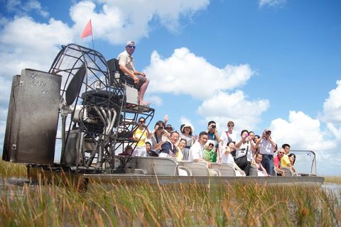 Everglades Morning Tour & Wildlife Show with Transportation