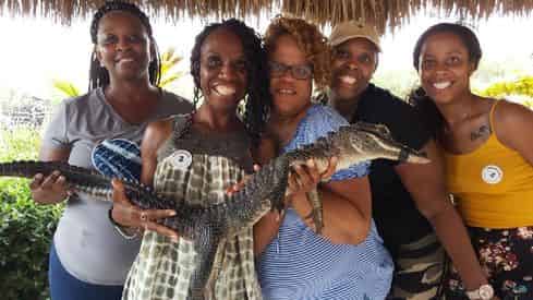 Everglades Afternoon Tour & Wildlife Show with Transportation