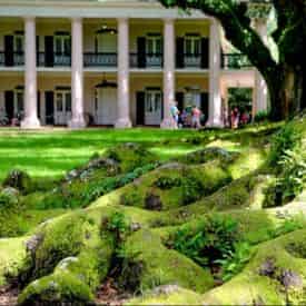 Small Group Tour of Oak Alley Plantation with Transportation from New Orleans